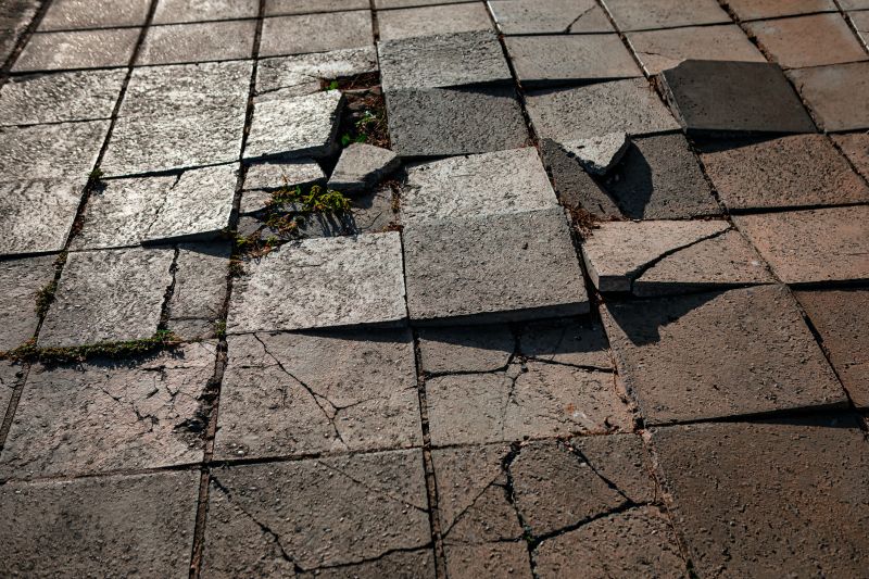 Specialized Paver Repair Teams